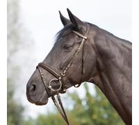 Kieffer Brida Ultra Suave - Marrón - Pura Sangre Estribo Brida Caballos Paseo