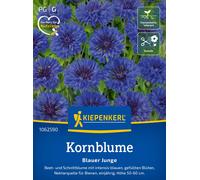 Kiepenkerl Aciano "Blue Boy" - 1 paq.