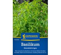 Kiepenkerl Albahaca de Hoja Pequeña - 1 paq.