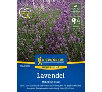 Kiepenkerl Lavanda - Hidcote Blue - 1 paq.