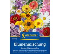 Kiepenkerl Magia Floral de Verano - 1 paq.