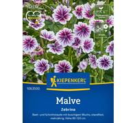 Kiepenkerl Malva Silvestre - Zebrina - 1 paq.