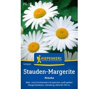 Kiepenkerl Margarita de Shasta - Alaska - 1 paq.