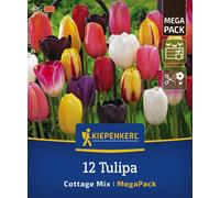 Kiepenkerl Mega Pack - Simple Late Tulipanes Cottage Mix - 12 piezas