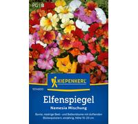 Kiepenkerl Nemesia "Nemesia Mischung" - 1 paq.