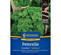 Kiepenkerl Perejil "Grandeur" - Cinta de Siembra - 1 paq.