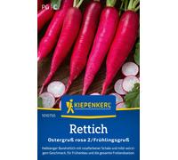 Kiepenkerl Rábano Largo Ostergruß rosa 2 / Frühlingsgruß - 1 paq.