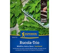 Kiepenkerl Rúcula "Ruca" - Cinta de Siembra - 1 paq.