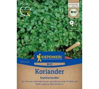 Kiepenkerl Semillas de Cilantro Bio - 1 paq.