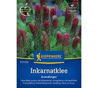 Kiepenkerl Trébol Encarnado - 1 paq.