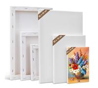 Kigniote Juego de lienzos, 6 piezas de lienzo para pintar, 30 x 20,20 x 15,15 x 10 cm, marco blanco para pintura al óleo, paneles de lienzo acrílicos para aficionados y artistas