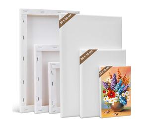 Kigniote Juego de lienzos, 6 piezas de lienzo para pintar, 30 x 20,20 x 15,15 x 10 cm, marco blanco para pintura al óleo, paneles de lienzo acrílicos para aficionados y artistas