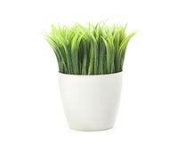 Kikkerland SC24 - Soporte para bolígrafo