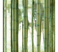 Kikkerland Tope de puerta de tornillo