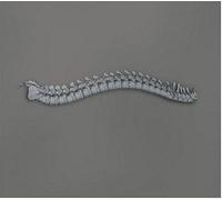 Kill Memory Crash - When the Blood Turns Black