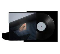 KILLS BIRDS - CRAVE [Vinilo]