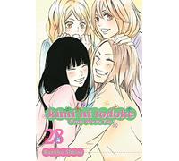 Kimi ni Todoke: From Me to You – Volumen 28 (KIMI NI TODOKE GN)