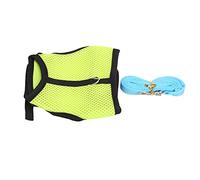 KIMISS Arnés de Correa Ajustable para Hámster, Arnés de Tracción de Malla para Conejo, Pecho y Espalda con Correa para Conejo, Conejillo de Indias, Suministros para Mascotas (Fruta Verde)