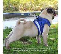 KIMISS Cable de Amarre para Perros de Acero Inoxidable, Correa Resistente para Uso en Campamentos y Picnic (Blue)