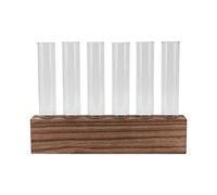 KIMISS Estación de Propagación de Plantas de Vidrio con Soporte de Madera, Mini Terrario de Escritorio con Tubo de Ensayo para Decoración del Hogar, para Plantas y Flores de Interior (6 Tubos)