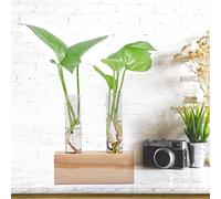 KIMISS Jarrón de Plantas de Tubos de Ensayo de Vidrio Hidropónico con Rejilla de Madera - Terrario Elegante para Decoración del Hogar Interior, para Suculentas y Plantas Pequeñas