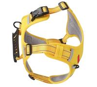 KIMISS Juego de Arnés y Correa para para un Entrenamiento Seguro, Doble Protección Reflectante con Diseño Ajustable y Etiqueta para Mascota, Amarillo (S)