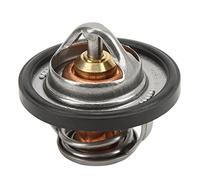 KIMISS Termostato Grizzly 660 YFM660 - Regulador de Temperatura Automático para Grizzly 660 YFM660 YFM66F, Control de Motor de Precisión