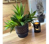 Kimmel Macetero clásico de 11 cm, Color Gris, Juego de 3 Unidades, Maceta para Plantas suculentas, Cactus, Maceta, Maceta, orquídea, decoración