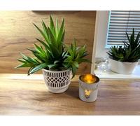 Kimmel Macetero clásico de 13 cm, Color Blanco, Juego de 3 macetas, macetas para Plantas suculentas, Cactus, macetas, orquídeas, decoración