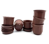 Kimmel Macetero de 6 cm con Plato, Juego de 6 Unidades, Color marrón