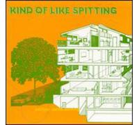 Kind of Like Spitting - Bridges Worth Burning [Vinilo]