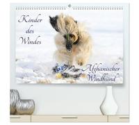 Kinder des Windes - Afghanischer Windhund (hochwertiger Premium Wandkalender 2026 DIN A2 quer), Kunstdruck in Hochglanz: Die ganze Faszination dieser wundervollen Hunderasse auf 13 Fotos