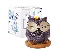 Kinforse elegante vela perfumada de lavanda con diseño de búho, juego de velas de aromaterapia para ella, regalos de cumpleaños y aniversarios
