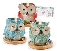 Kinforse Juegos de velas perfumadas regalos para mujeres, regalos de cumpleaños para ella, regalos para mujeres, (3 OWL vela perfumada)