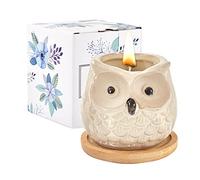 Kinforse Vela perfumada de búho encantador, regalos únicos para ella, lujosas velas de aromaterapia de naranja dulce, regalos para cumpleaños, juego relajante para baño y hogar