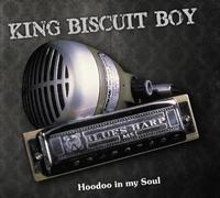 King Biscuit Boy - Hoodoo in My Soul
