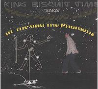 King Biscuit Time - Sings Nelly Foggits Blues