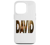 King David of Israel God's General, Old Testament Bible Carcasa para iPhone 13 Pro