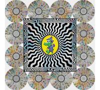 King Gizzard & The Lizard Wizard - Field of Vision '25 [Vinilo]