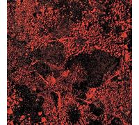 King Gizzard & the Lizard Wizard - Murder Of The Universe (Live at Red Rocks 2022) [Vinilo]