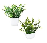 King Home - Plantas Artificiales - Juego de 2 Unidades en Caja Transparente de Acetato