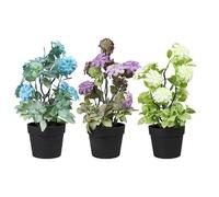 King Home - Plantas Artificiales - Juego de 3 Unidades en Caja Transparente de Acetato