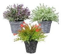 King Home - Plantas Artificiales - Juego de 3 Unidades en Caja Transparente de Acetato