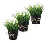 King Home - Plantas Artificiales - Juego de 3 Unidades en Caja Transparente de Acetato