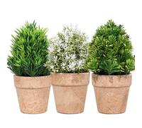King Home - Plantas Artificiales - Juego de 3 Unidades en Caja Transparente de Acetato