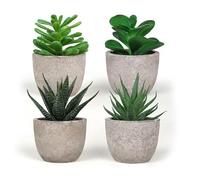King Home - Plantas Artificiales - Juego de 4 Unidades en Caja Transparente de Acetato