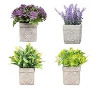 King Home - Plantas Artificiales - Juego de 4 Unidades en Caja Transparente de Acetato