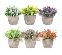 King Home - Plantas Artificiales - Juego de 6 Unidades en Caja Transparente de Acetato