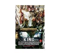 King Of The Labyrinth Vol. 1 Light Novel by Shienbishop Paperback Book