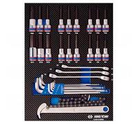 KING TONY 990131MRE Módulo espuma + PP 31 piezas Torx-Allen para racores de uso diario